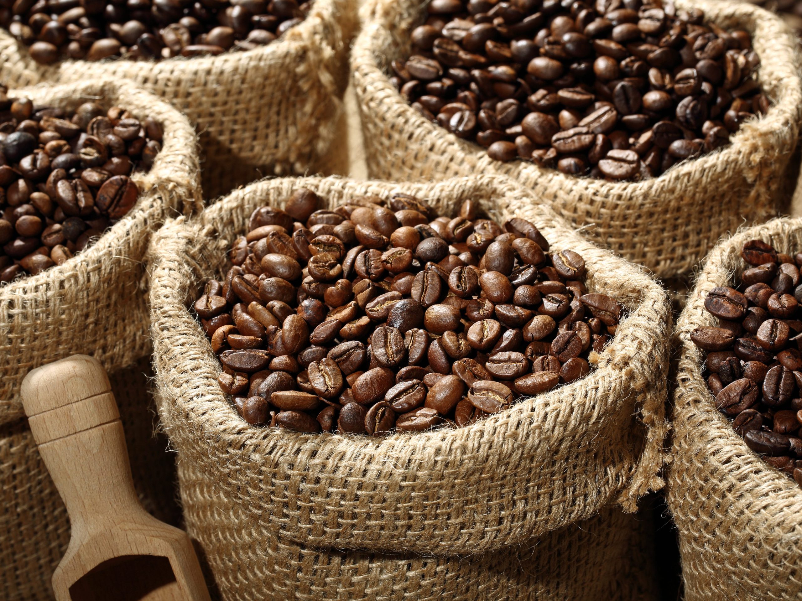 closeup coffee beans